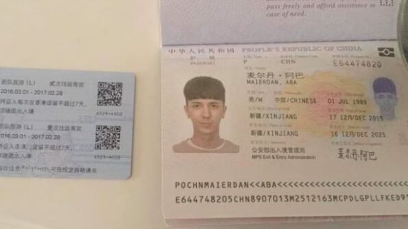China passport online