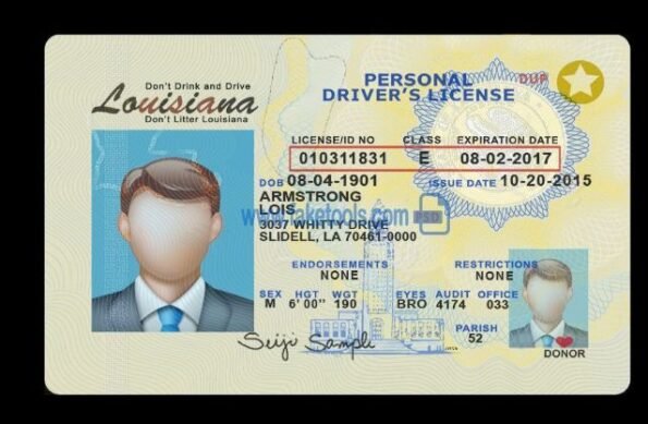Buy Louisiana Driver's License and ID Card - Image 2