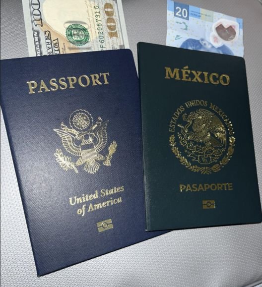 South America Passports