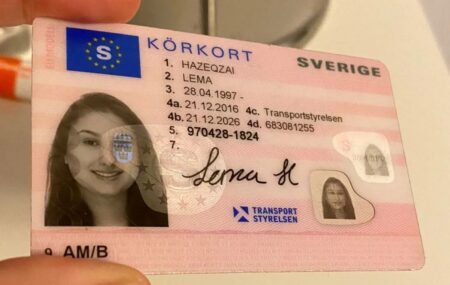 Swedish Driver's License