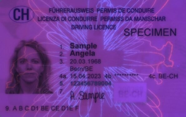 Buy Switzerland Driving Licence - Image 3
