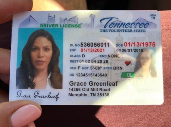 Buy Tennessee Driver's License and ID Card - Image 2